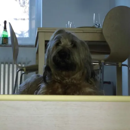 Potthoff 1 Διαμέρισμα