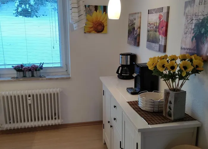 Potthoff 1 公寓 阿尔特瑙